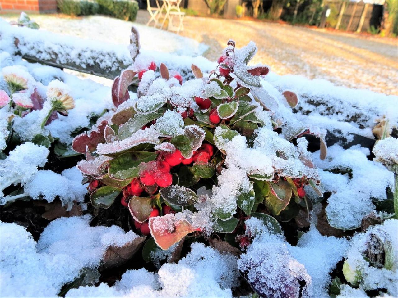 Little Redlands B&B Lincoln Dış mekan fotoğraf